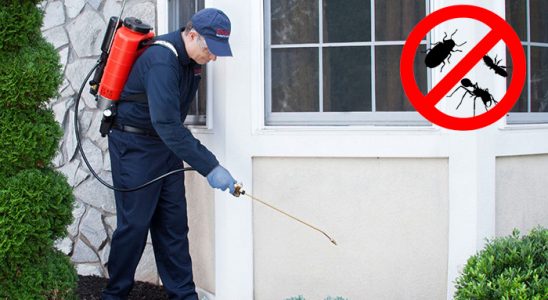 Balatçık Dezenfeksiyon böcek ilaçlama ve haşere kontrolü — ilaclama-tr.com